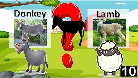 Guess Who? Farm Animal Edition #1 l Who Am I? Workout l Brain Breaks l PE at Home l This or That