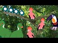 In The Night Garden Birds In The Night Garden Birds