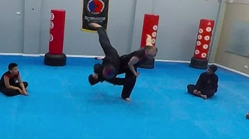 Hapkido Training Session - Martial Arts Class at Kogarah / St George