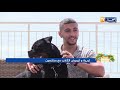 canine Dz  في استضافة النهار