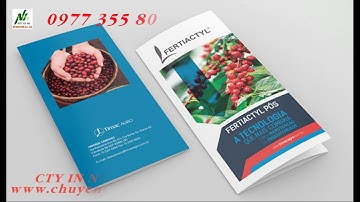 Công ty in offset tờ rơi giá rẻ | In nhanh tại Bình Dương - 0977 355 809