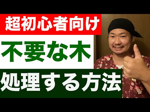 【不要な木】処理方法を基本から解説【超初心者向け】