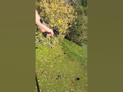 Стрельба. Рогатка. - YouTube