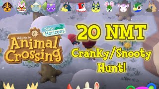20 NMT Hunt for a Cranky or Snooty Villager! SUPER LUCK! | Animal Crossing New Horizons