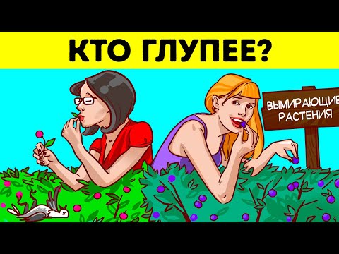 Видео: Как сайтът печели