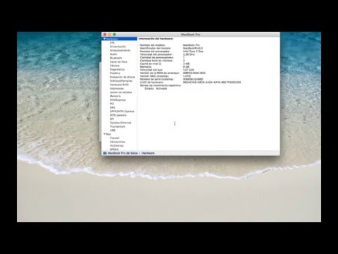 Video: ¿Cómo sé qué bit es mi Mac?