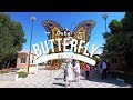 Dubai Butterfly Garden | Dubai, UAE | Traveller Passport