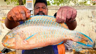 KASIMEDU ? SPEED SELVAM | PARROT ? FISH CUTTING | IN KASIMEDU | HD VIDEO | FF CUTTING ?