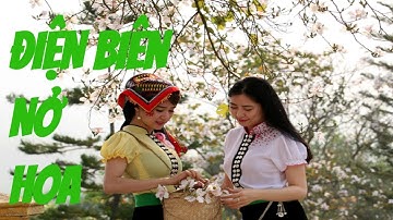 Điện Biên Nở hoa - Ngọc ký ft Giàng Hoa - Cảnh đẹp hoa ban tây bắc