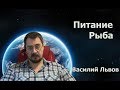 Питание. Рыба I Nutrition. A fish (ENG Subtitles)