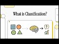 What is Classification