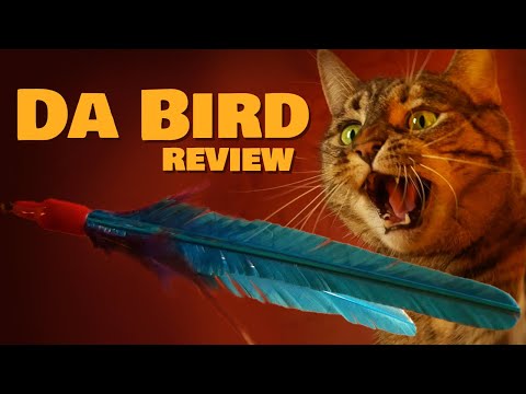 The Cats Review: Da Bird by GoCat | A Cat Toy of Excellent Quality