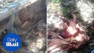 Newborn baby BURIED ALIVE under a pile of rubbish is rescued - Daily Mail