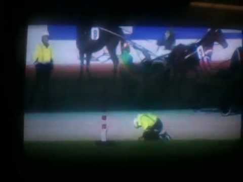 Man gets kicked by horse - YouTube