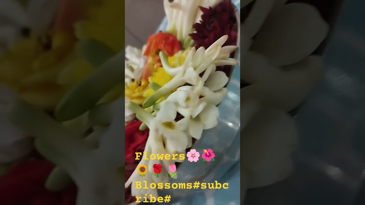 Flowers Blasomms freshly flourishing