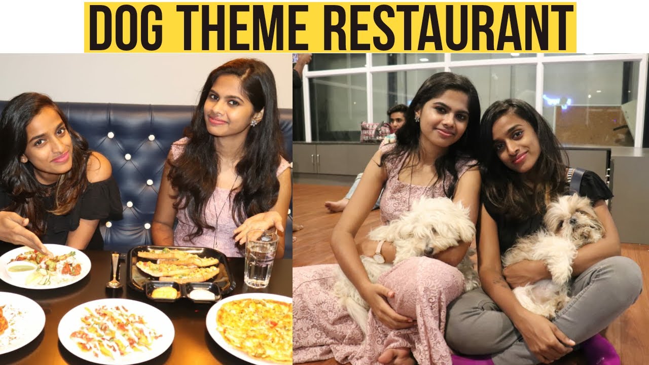 Dog Themed Restaurant Food With Puppies Twisty Tails YouTube