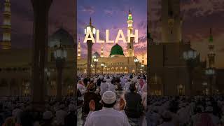 ইসলামিক ভিডিও শেয়ার করেছেন? 🤔🕋#shorts​ #islam​ #islamicstatus​ #islamic​ #motivational