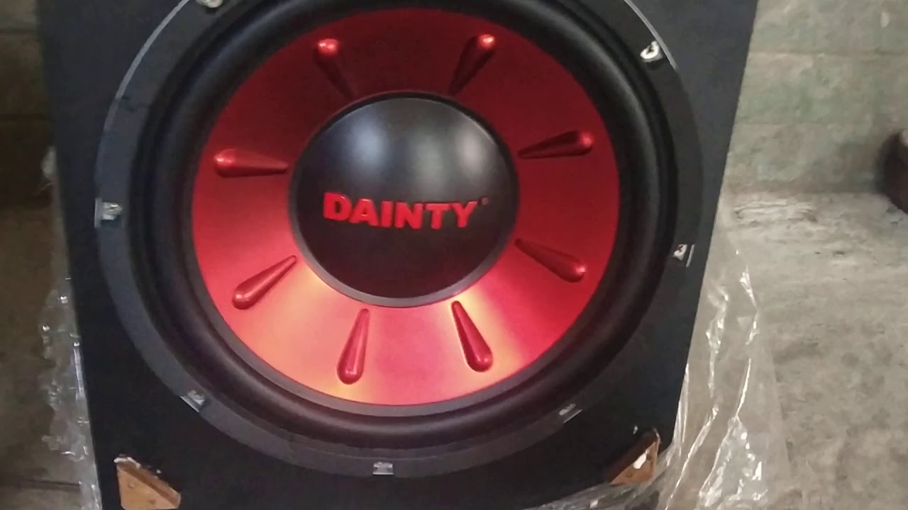 dainty 12 inch subwoofer