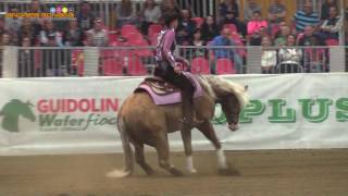 ANN FONCK - SHINERS VOODOO - KIMBERLY WEGNER - EURO FUTURITY 2017 OPEN FINAL