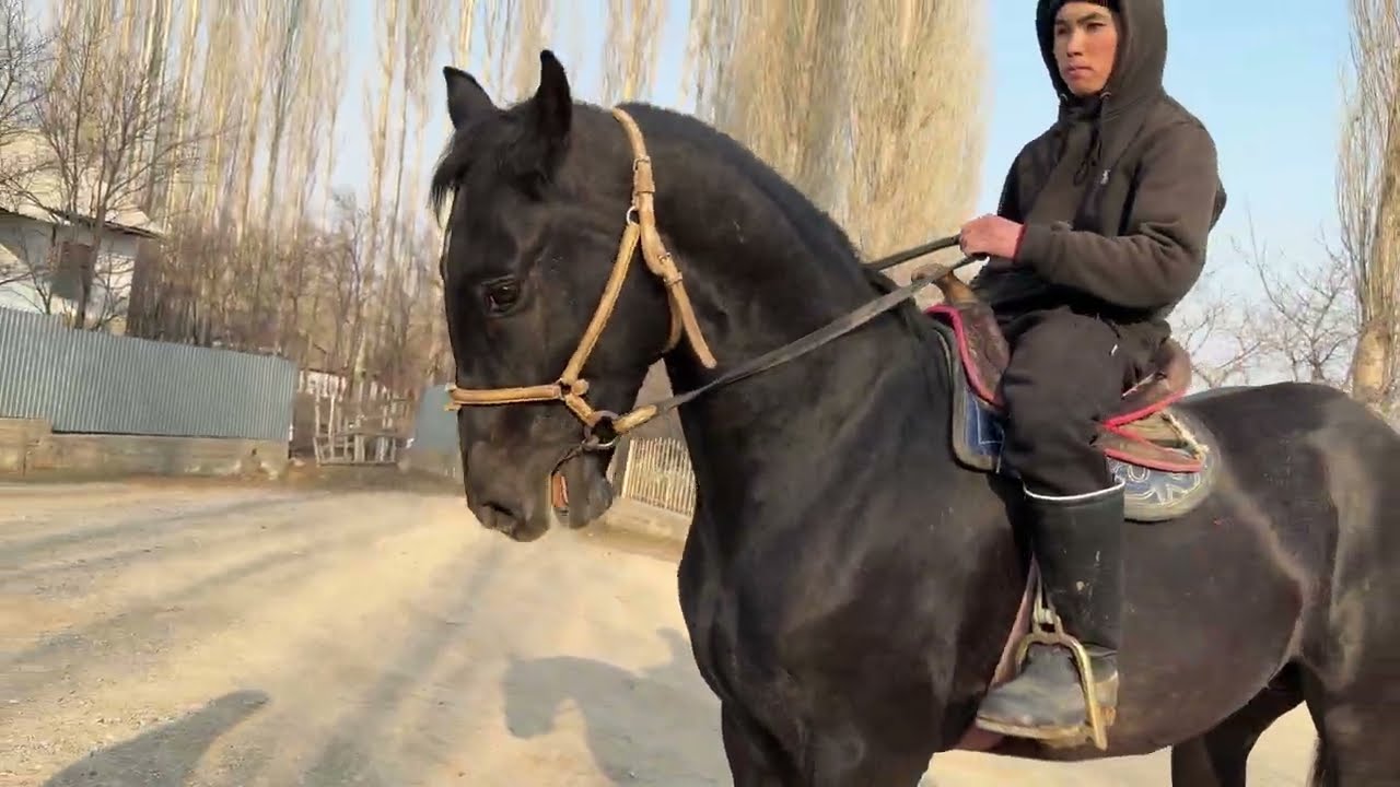 Россиядан келген тел:+996 505 405 717 