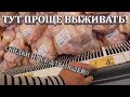 ПОЛЬША. СЫТАЯ ЖИЗНЬ! ЦЕНЫ НА ПРОДУКТЫ В ПОЛЬШЕ. АШАН