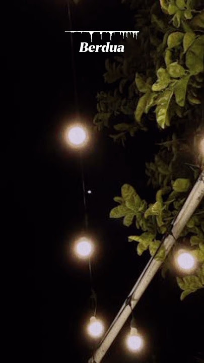 Tegar - Noah#noah#tegar#viralshorts#lirikvideo