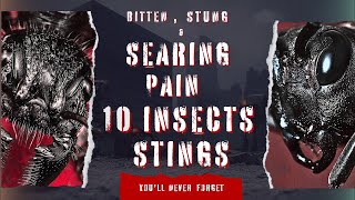 The Most Painful Insect Stings Revealed