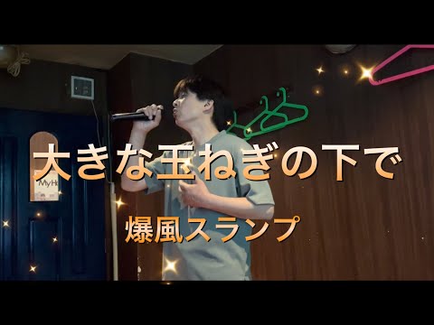 爆風スランプ/大きな玉ねぎの下で//【歌詞付き】懐かしの名曲✨歌ってみた♫♫