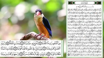 1 سورة النبأ الحزب التاسع والخمسون للحفظ بالتكرار