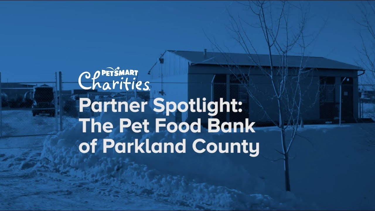 Partner Spotlight The Pet Food Bank of Parkland County YouTube