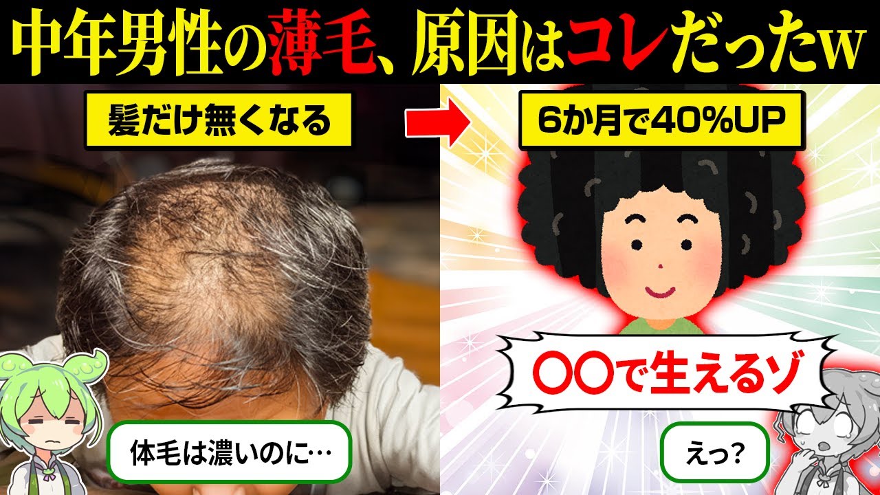 なぜか髪だけ薄くなる…中年ハゲの意外な原因と対策とは？【ずんだもん＆ゆっくり解説】