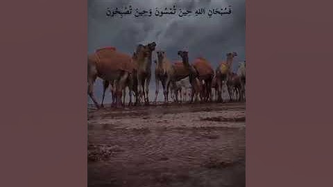 {فسبحان الله حين تمسون وحين تصبحون * وله الحمد في السماوات والأرض وعشيا وحين تظهرون} سورة الروم