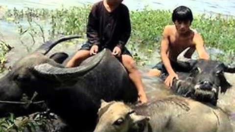 Bắc Ninh trong tôi là...