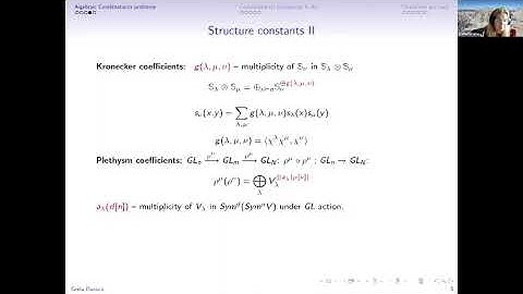 Computational Complexity in Algebraic Combinatorics by Greta Panova