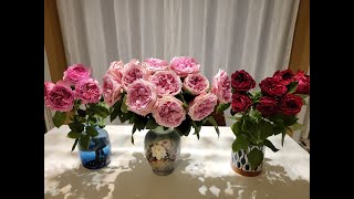Unboxing David Austin Wedding roses!!! ~~ Constance, Miranda, Tess ~~