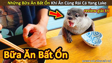 Những bữa ăn đầy bất ổn của Sen Và Rái Cá Yang Lake || Review Giải Trí Đời Sống