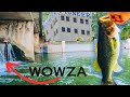 Epic riverwalk fishing easy  san antonio texas 2023