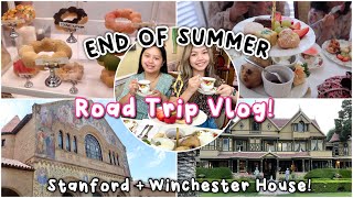 END OF SUMMER ROAD TRIP (VLOG) Stanford, High Tea, and More