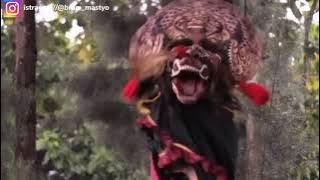 STORY WA 30 DETIK BARONGAN SOLAH FULL ANGIN DALU TERBARU BY BRAM MAS TYO 