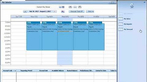 Kronos Basic Navigation