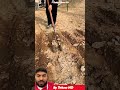 Amazing gardening tool #shortsfeed #gardening #agriculture #viralshorts