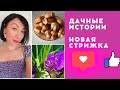 ДАЧНЫЕ ИСТОРИИ|СТРИЖКА |ВКУС ДЕТСТВА