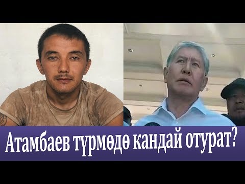 Video: Жооптуу кылмыштар абак жазасына тартылабы?