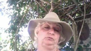 Meet our CHP Virtual Summer Camp Instructor Ms Denise Galiano