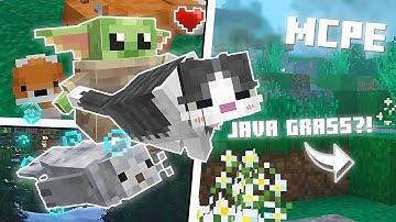 TOP 5 Resource Packs To Improve Minecraft PE | 1.19+ : Fat Cats, Fat Foxes, Java Grass, & Many more!