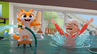 Gatinho Inundou A Casa Da Vovó No I Am Cat