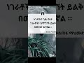 #ethiopia #duet #lovebook #love #romancenovel #habesha #ሰበዝአካዳሚ #ebs #quotes  #ethiopianstory