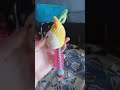 Jouet dentaire pour chien en TPR Mini Circus Vache - 25cm Zoomalia