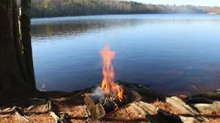 COOKING SALMON BY THE LAKE, EASY FISH RECEIPE #outdoor #fire #food #water