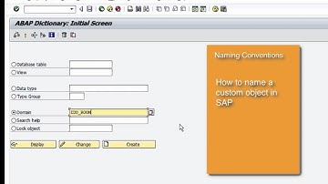 Creating Domains and Data Elements in SAP ABAP - Naming Conventions